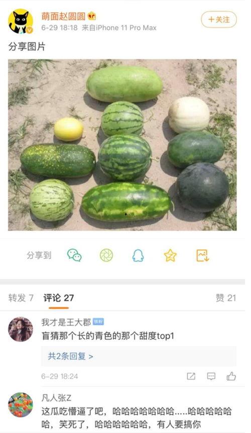 最新爆料的新瓜,新瓜爆料，娱乐圈惊天大事件再掀波澜！  第1张