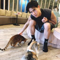 今日娱乐爆料彭于晏视频,幕后故事引网友热议 第1张 今日娱乐爆料彭于晏视频,幕后故事引网友热议 第1张