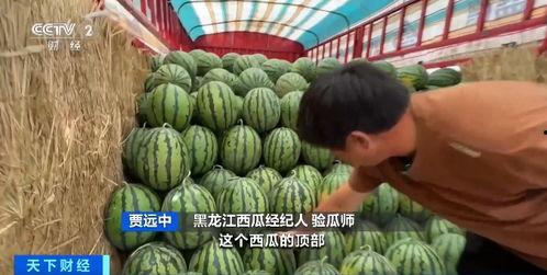 西藏扎西枫丹娱乐吃瓜,吃瓜群众眼中的神秘娱乐王国 第3张 西藏扎西枫丹娱乐吃瓜,吃瓜群众眼中的神秘娱乐王国 第3张